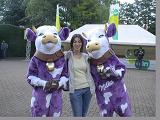 2 vaches et 1 biche